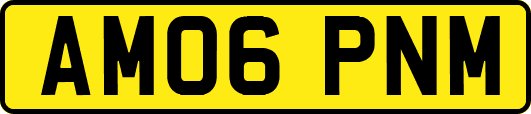 AM06PNM
