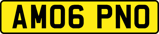 AM06PNO