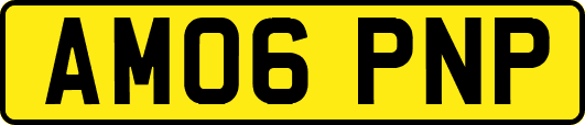 AM06PNP
