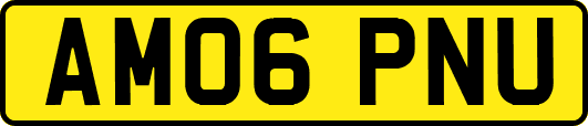 AM06PNU