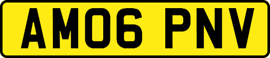 AM06PNV