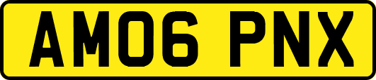 AM06PNX