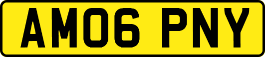 AM06PNY