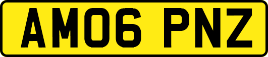 AM06PNZ