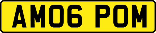 AM06POM