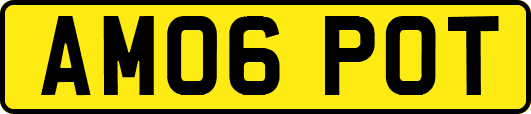 AM06POT