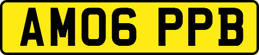 AM06PPB