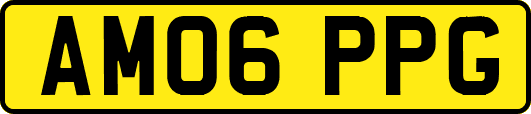 AM06PPG