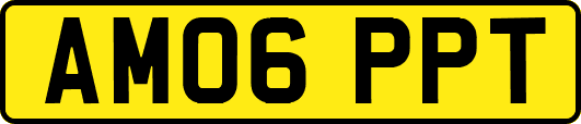 AM06PPT
