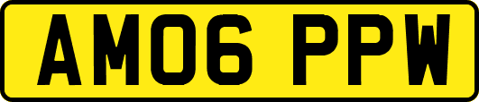 AM06PPW