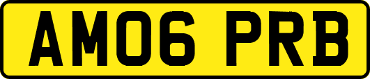 AM06PRB