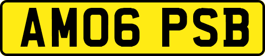 AM06PSB