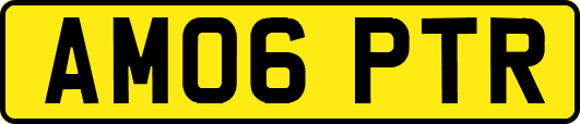 AM06PTR