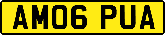 AM06PUA