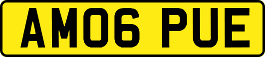 AM06PUE