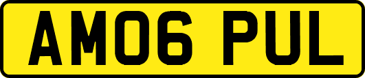 AM06PUL