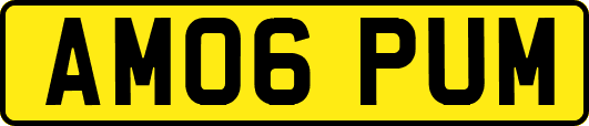 AM06PUM