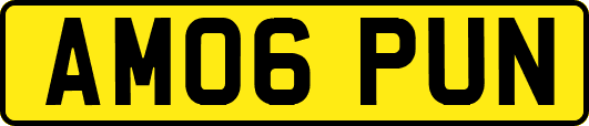 AM06PUN