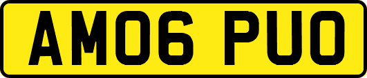 AM06PUO
