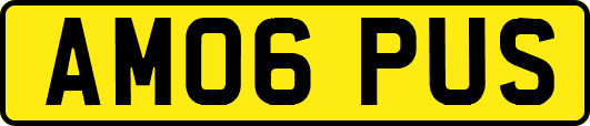 AM06PUS