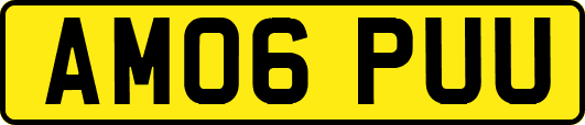 AM06PUU