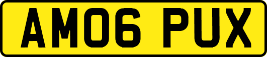 AM06PUX
