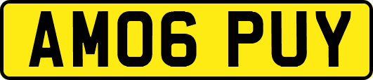 AM06PUY