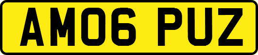 AM06PUZ
