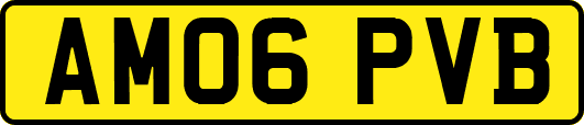 AM06PVB