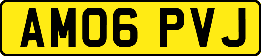AM06PVJ