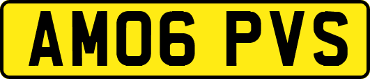 AM06PVS