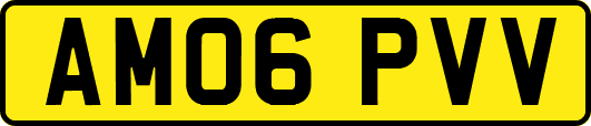 AM06PVV