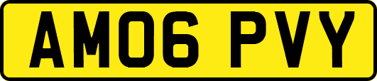AM06PVY