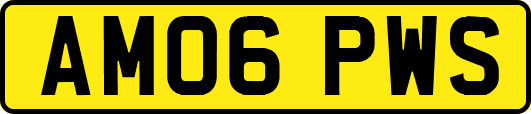 AM06PWS