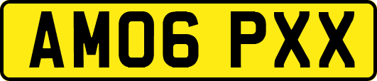 AM06PXX