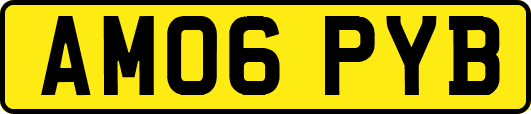 AM06PYB