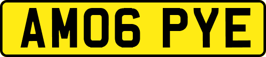 AM06PYE