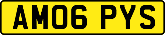 AM06PYS