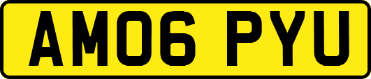 AM06PYU