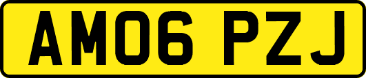 AM06PZJ
