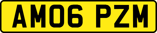 AM06PZM