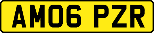 AM06PZR
