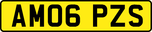AM06PZS