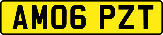 AM06PZT