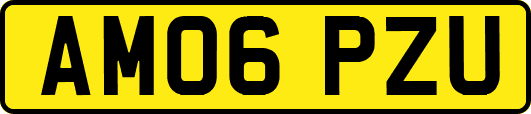AM06PZU