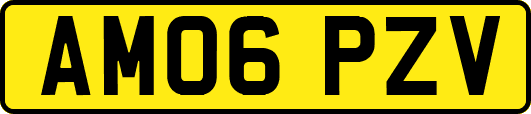 AM06PZV