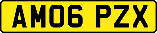 AM06PZX