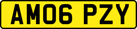 AM06PZY