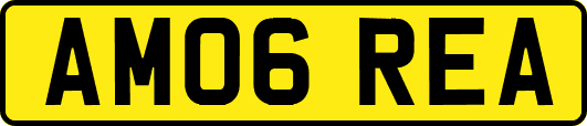 AM06REA
