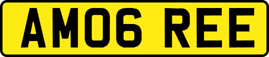 AM06REE